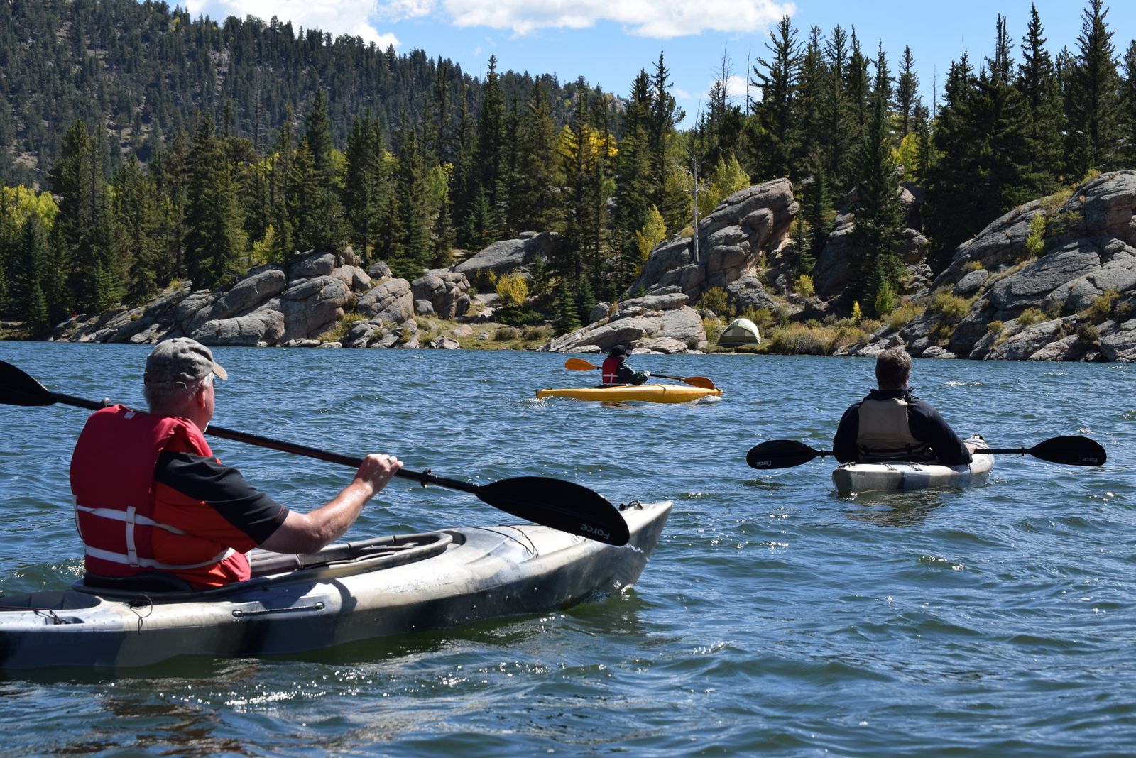 Kayakers paddling a glassy forest lagoon at Wilderness