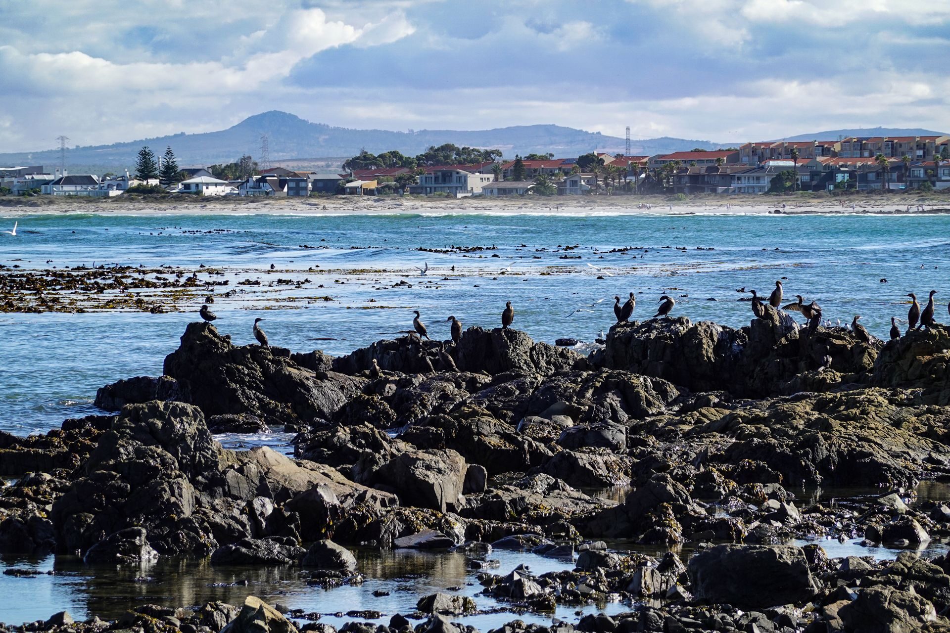 Waves breaking on the rocky Gansbaai shoreline with the town behind